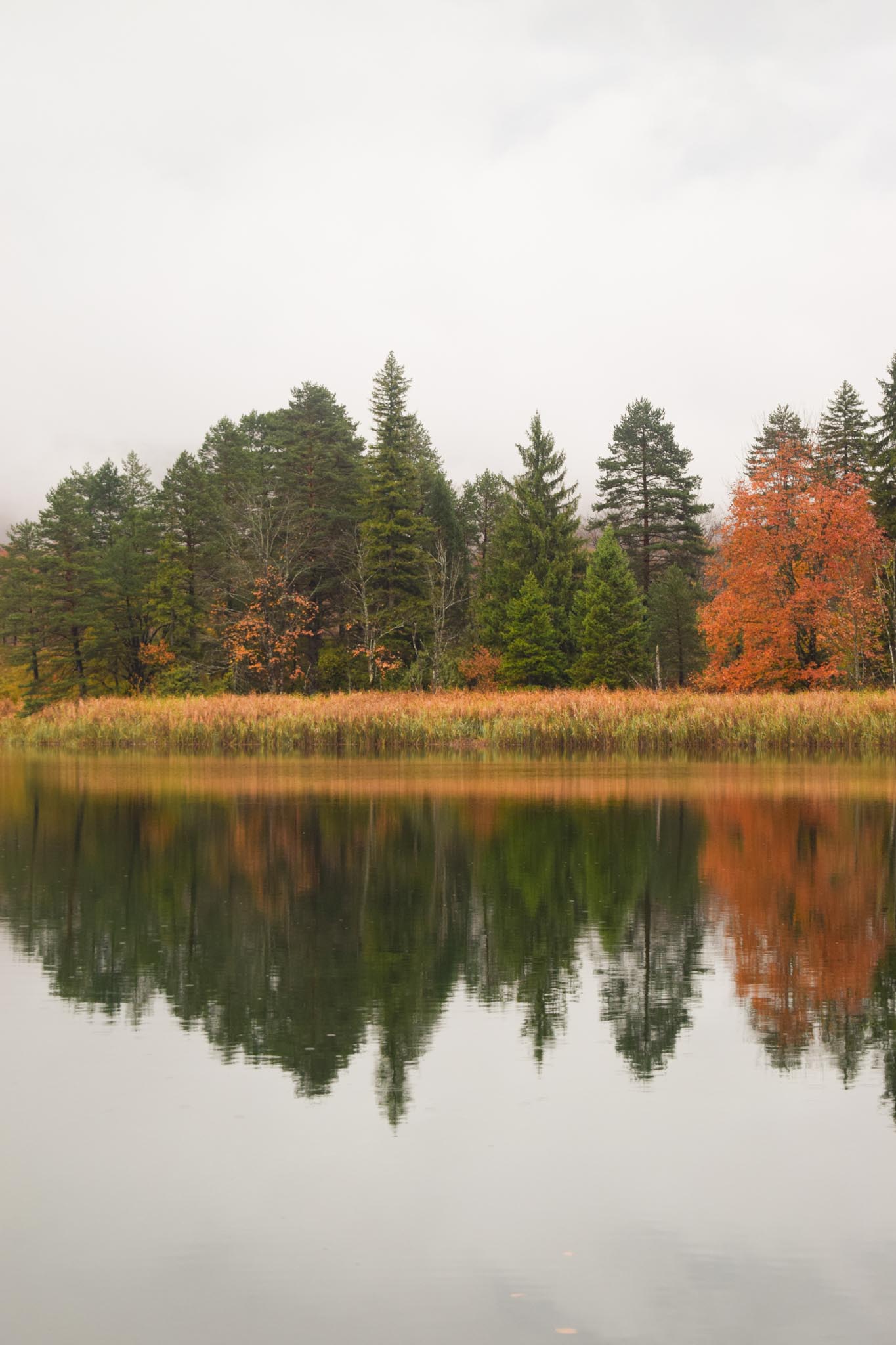 Reflection photography at Plitvice Lakes, Croatia - mirror-like water surface and natural beauty